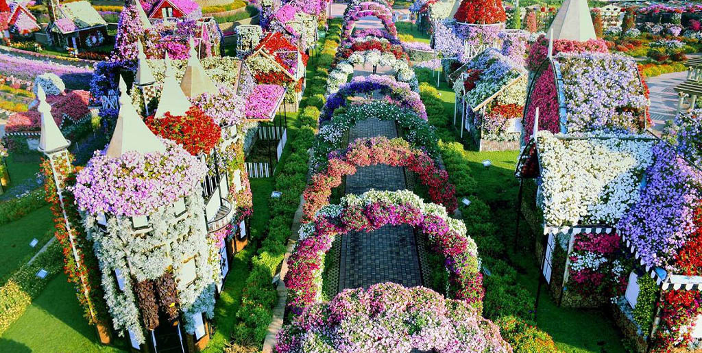 Miracle Garden is a flower garden in Dubai