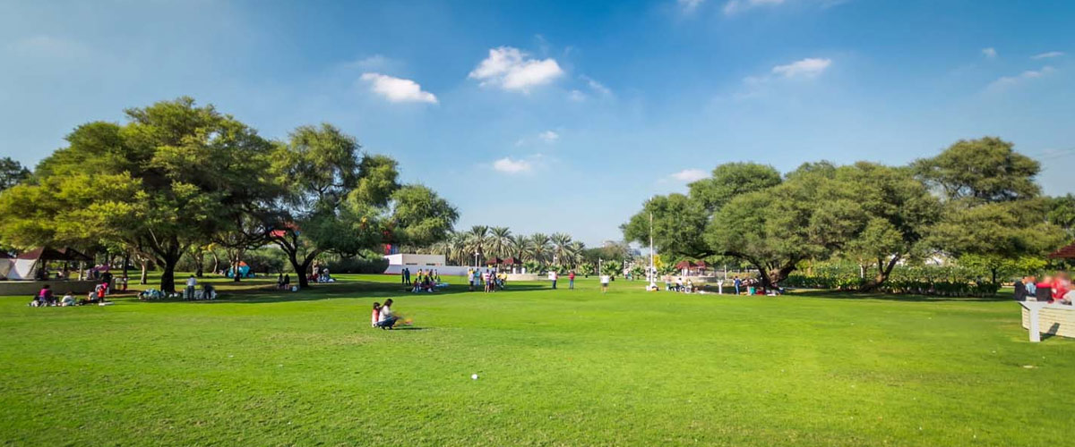 Creek Park - List of venues and places in Dubai