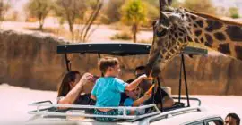 Al Ain Zoo photo - Coming Soon in UAE