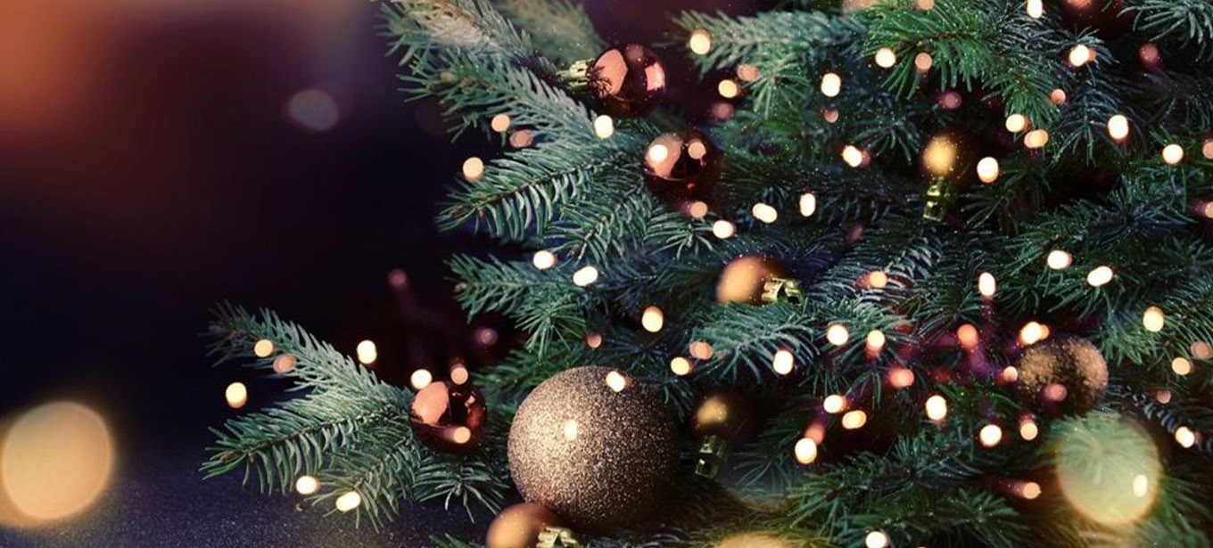 Christmas Tree Lighting - Coming Soon in UAE