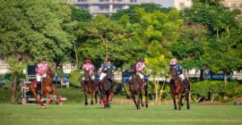 Al Habtoor Polo Resort and Club photo - Coming Soon in UAE