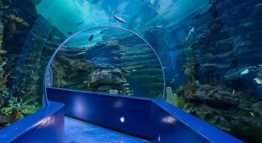 Sharjah Aquarium - Coming Soon in UAE