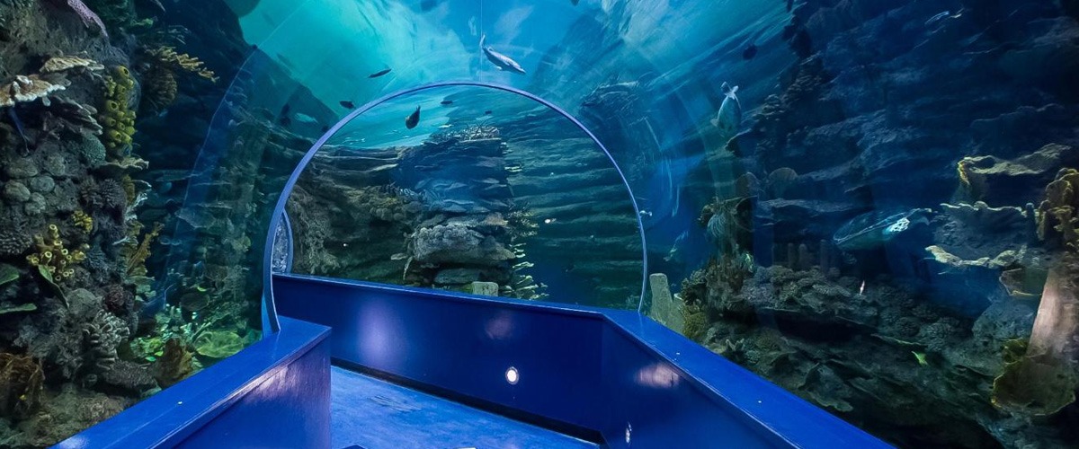 Sharjah Aquarium - List of venues and places in Sharjah
