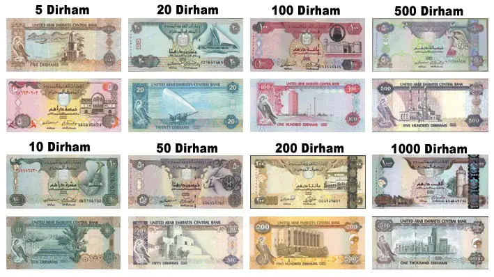 UAE Currency notes