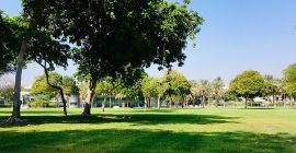 Zabeel Park gallery - Coming Soon in UAE