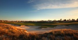 Saadiyat Beach Golf Club photo - Coming Soon in UAE