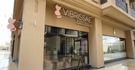 Vibrissae gallery - Coming Soon in UAE