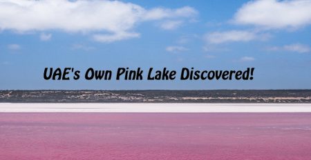 Hidden places of UAE: Pink Lake - Coming Soon in UAE