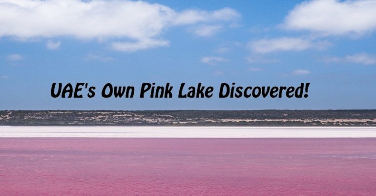 Hidden places of UAE: Pink Lake - Coming Soon in UAE