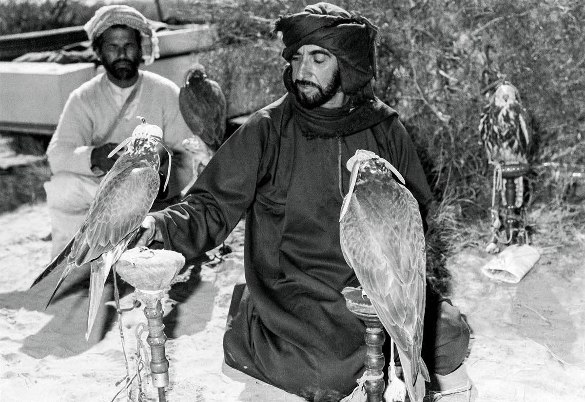 Sheikh Zayed sitting with 2 falconries