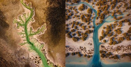 Hidden places of UAE: Plant Lake - Coming Soon in UAE