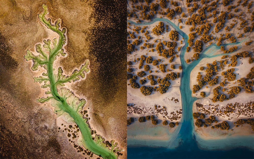 Hidden places of UAE: Plant Lake - Coming Soon in UAE