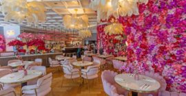 Saya Brasserie Cafe, City Walk gallery - Coming Soon in UAE