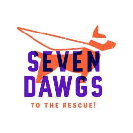 Seven Dawgs - Coming Soon in UAE