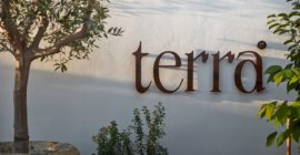 Terra Eatery gallery - Coming Soon in UAE