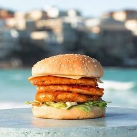 Oporto - Coming Soon in UAE