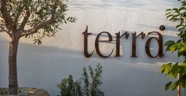 Terra Eatery photo - Coming Soon in UAE