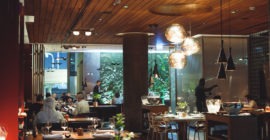 99 Sushi Bar & Restaurant, Abu Dhabi gallery - Coming Soon in UAE