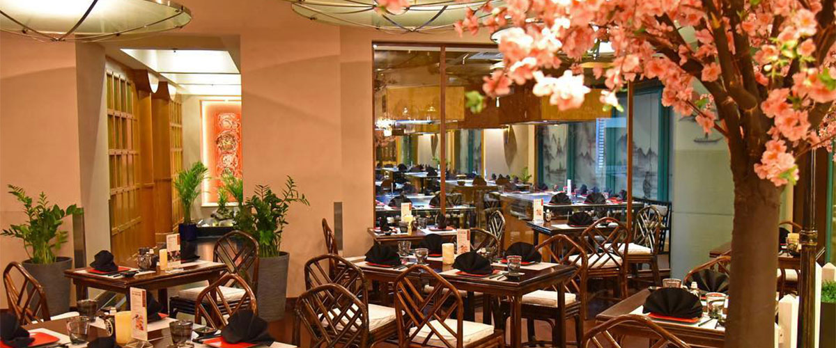 Hibachi - List of venues and places in Dubai