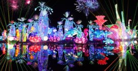 Dubai Garden Glow gallery - Coming Soon in UAE