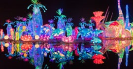 Dubai Garden Glow gallery - Coming Soon in UAE