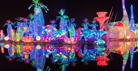 Dubai Garden Glow photo - Coming Soon in UAE