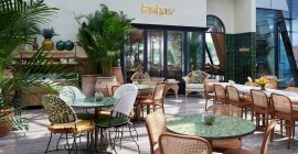 tashas, Al Barsha photo - Coming Soon in UAE