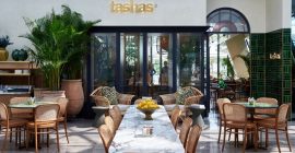 tashas, Al Barsha photo - Coming Soon in UAE