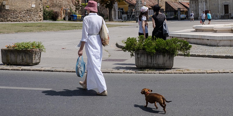 a woman walking with a dog