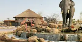 Dubai Safari Park photo - Coming Soon in UAE
