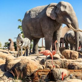 Dubai Safari Park - Coming Soon in UAE