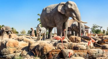 Dubai Safari Park - Coming Soon in UAE