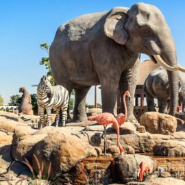 Dubai Safari Park - Coming Soon in UAE