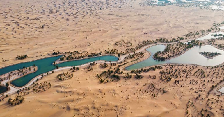 Al Qudra Lakes – Nature’s Retreat at the Doorsteps of Dubai - Coming Soon in UAE