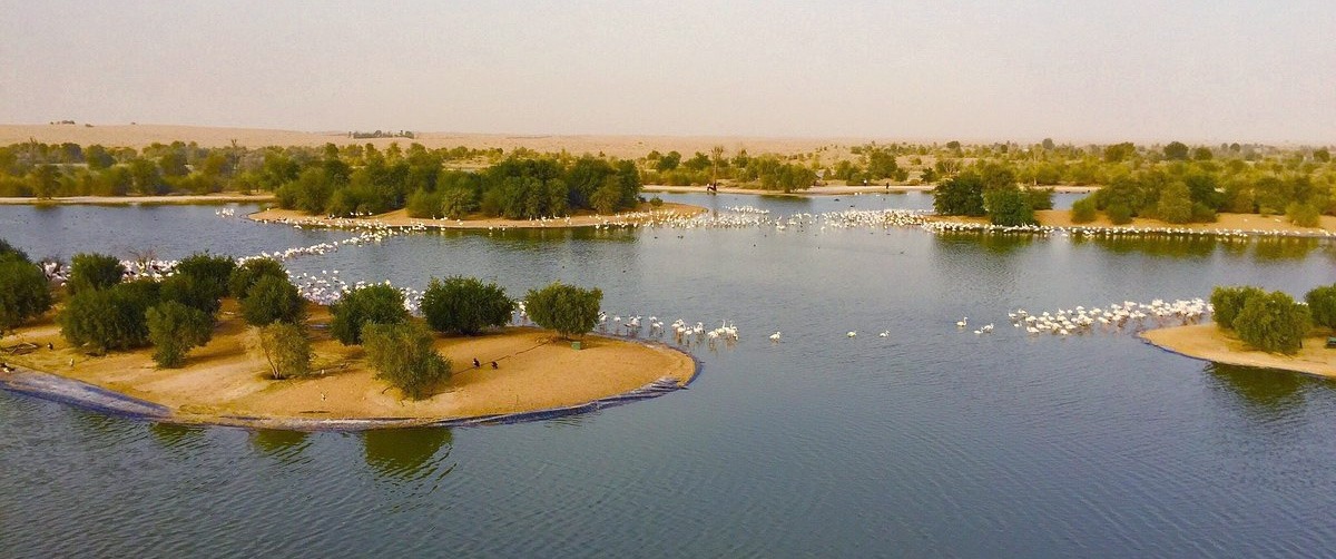 Al Qudra Lakes - Nature Retreat at the Doorsteps of Dubai