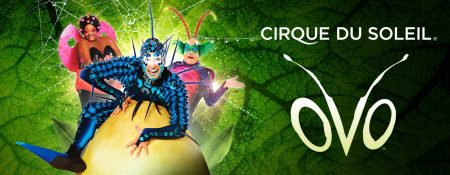 Cirque du Soleil – OVO - Coming Soon in UAE