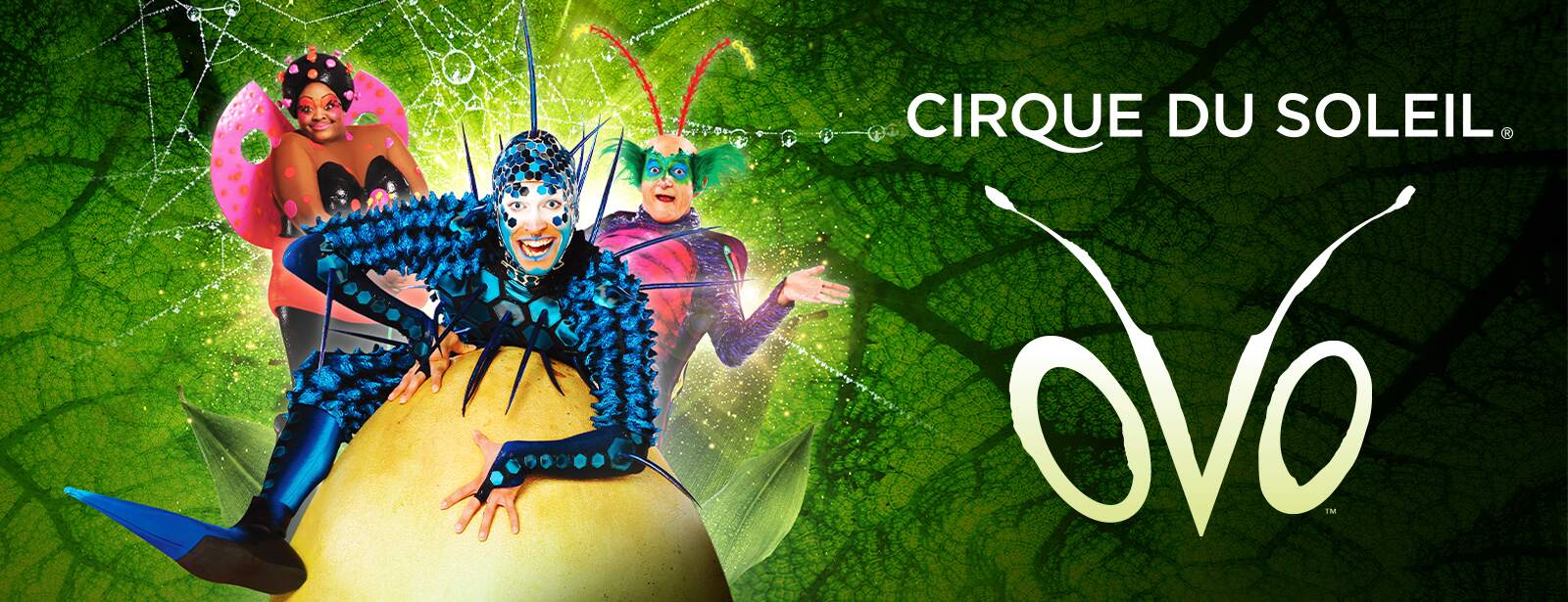 Cirque du Soleil – OVO - Coming Soon in UAE