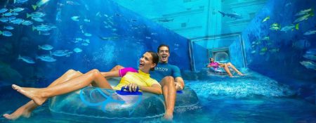 Visit Dubai Aquaventure Waterpark - Coming Soon in UAE