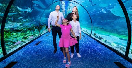 Visit The National Aquarium Abu Dhabi - Coming Soon in UAE