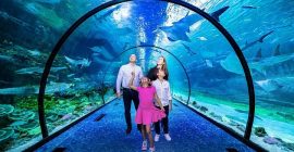 The National Aquarium Abu Dhabi gallery - Coming Soon in UAE