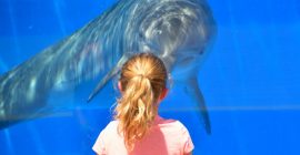 The National Aquarium Abu Dhabi photo - Coming Soon in UAE