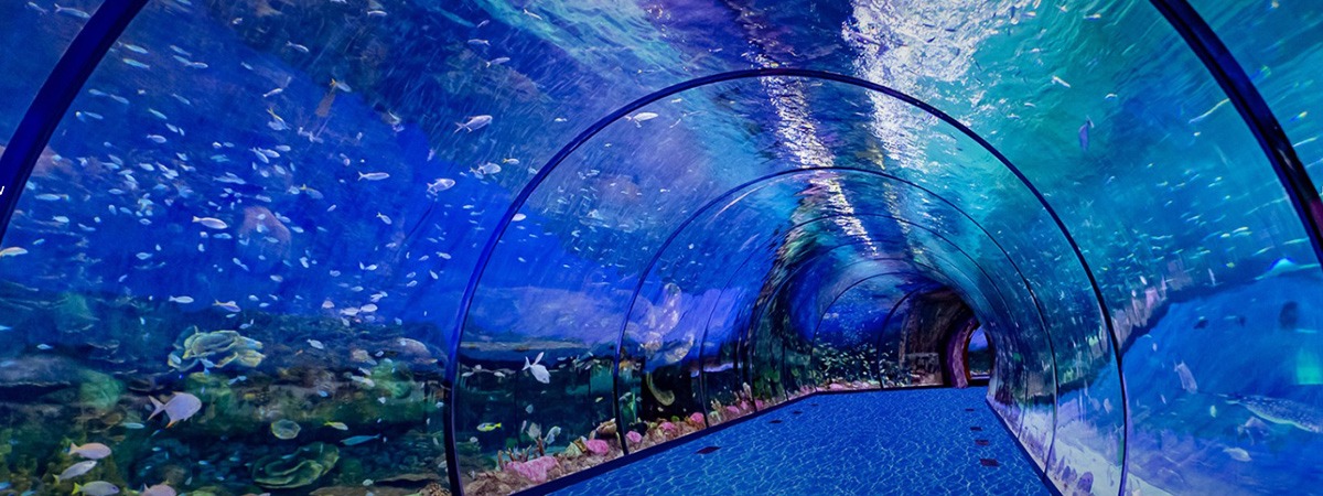 The National Aquarium Abu Dhabi - List of venues and places in Abu Dhabi