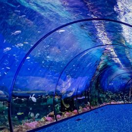 The National Aquarium Abu Dhabi - Coming Soon in UAE