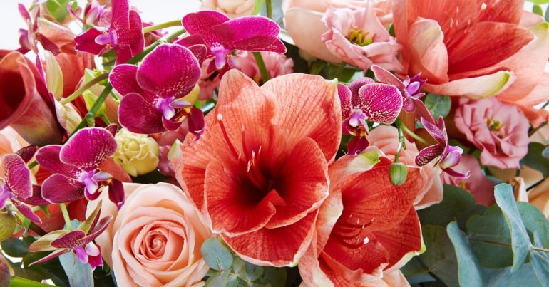 Tory Flowers Delivery in Dubai - Coming Soon in UAE