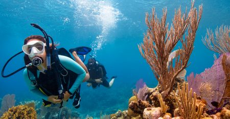 Dive & Snorkel Trips in Fujairah - Coming Soon in UAE