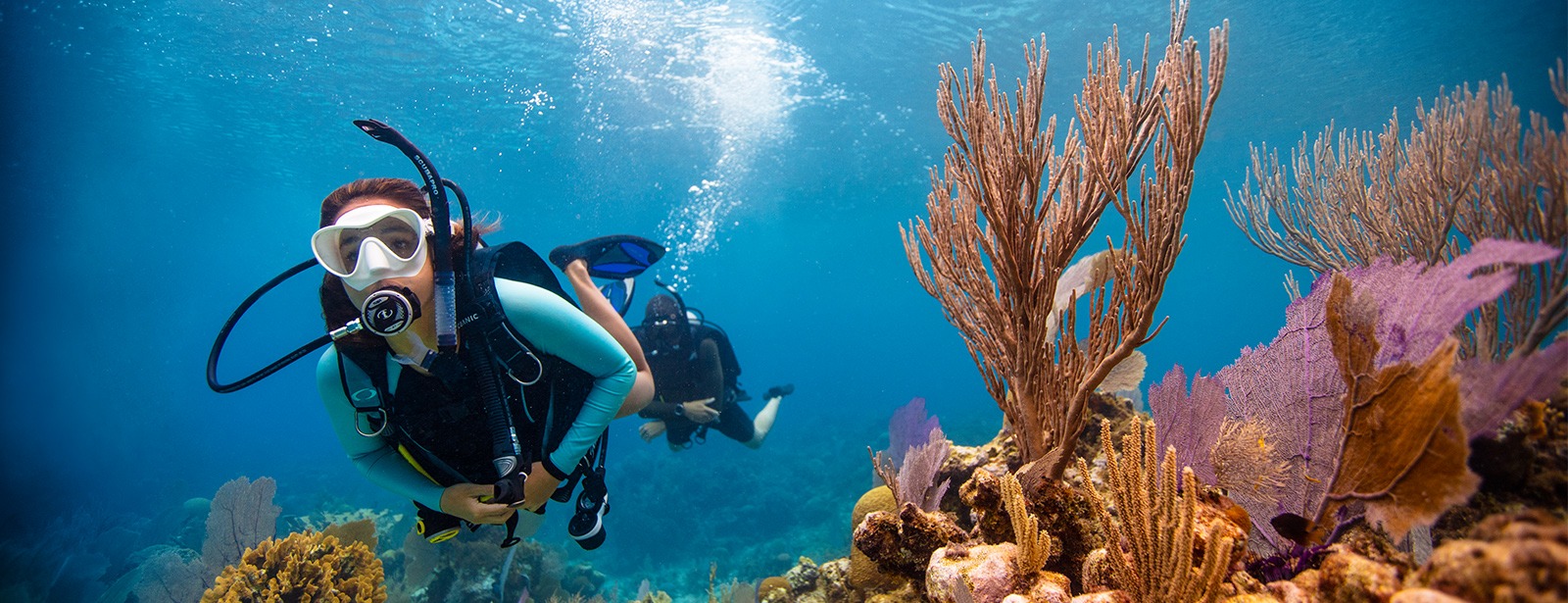 Dive & Snorkel Trips in Fujairah - Coming Soon in UAE