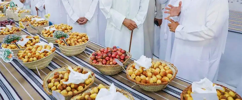 Al Dhaid Dates Festival
