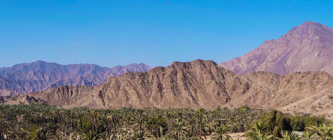 Hajar Mountains and palm plantations