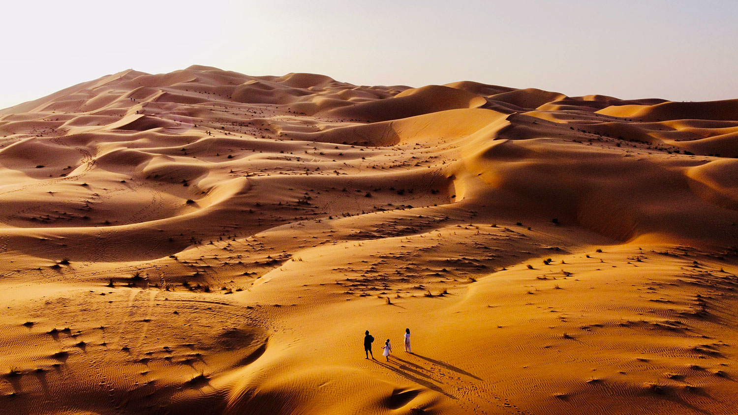 Liwa Desert Dunes