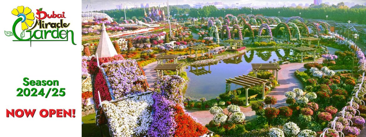 Dubai Miracle Garden 2024-2025 